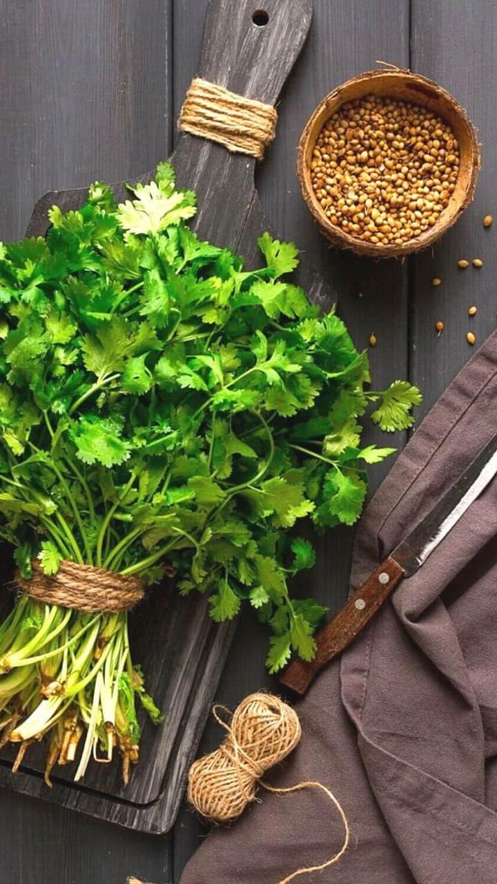 How to keep Coriander fresh for a week? vkp