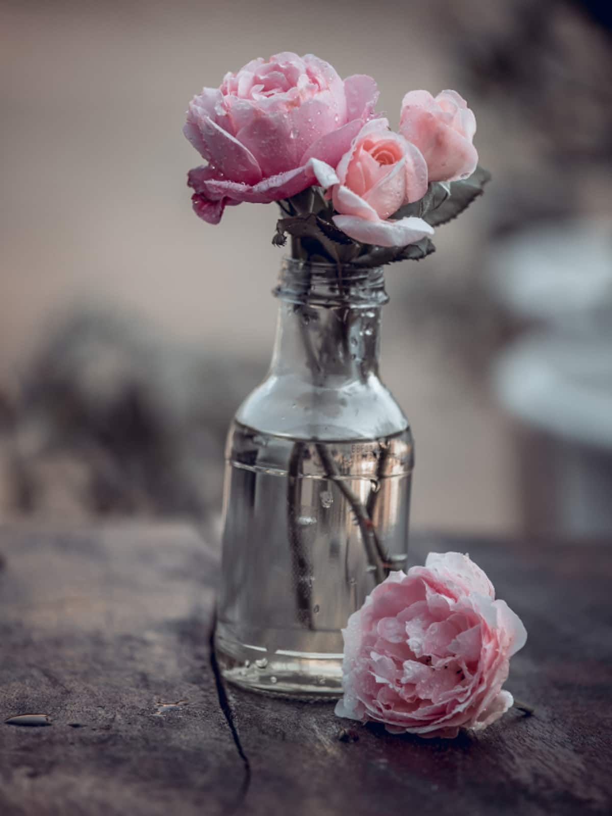 use rose water for a clear and beautiful skin 