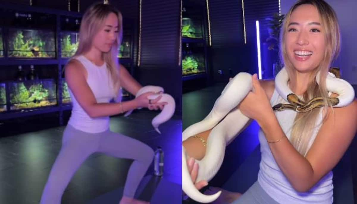 woman yoga with snake viral video criticised by netizens 