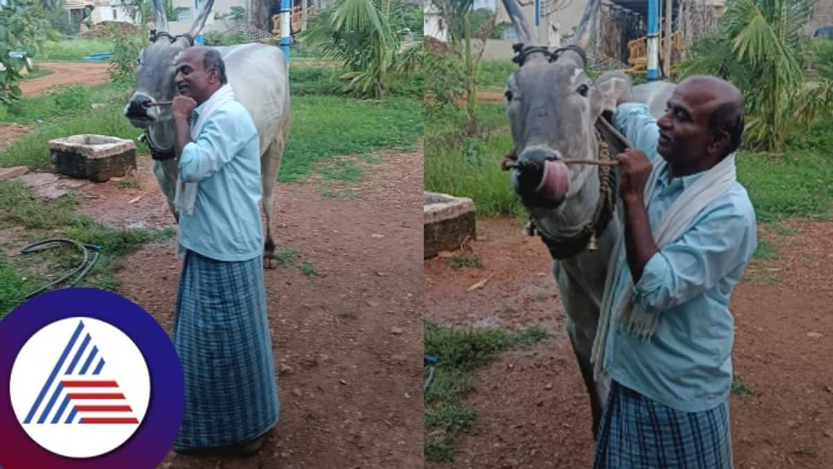 a farmer commit suicide in lakshmeshwar at gadag district rav