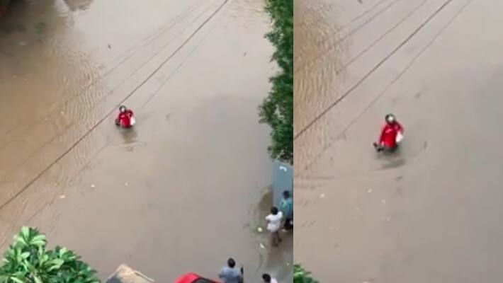 viral video zomato delivery boy 