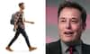 Get paid Rs 28,000 for walking 7 hours a day: Learn about Elon Musk’s exciting job offer