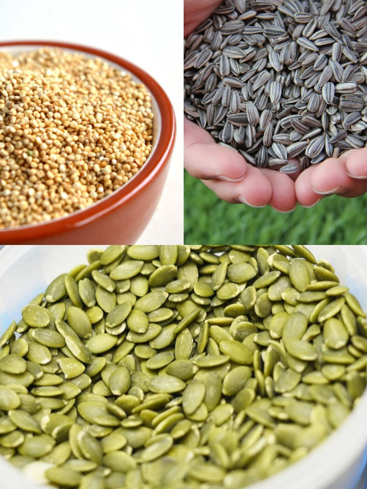 Hemp to Flaxseeds: 7 seeds that have more protein than meat ATG