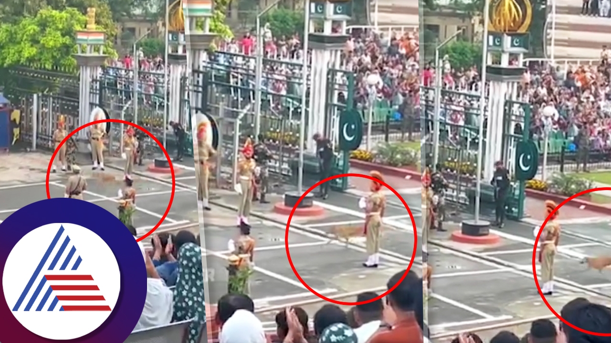 Pakistan stray dog enters Indian side at wagah border attari during beating retreat ckm