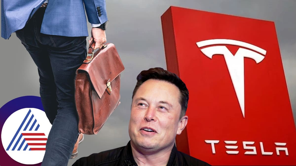 Elon Musk Offers Rs 28000 Salary for Walking 7 Hours a Day at Tesla