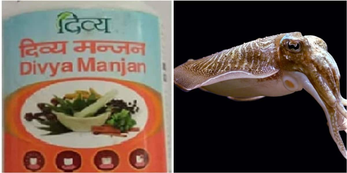 Fish extract in Patanjali's vegetarian product, court send notice