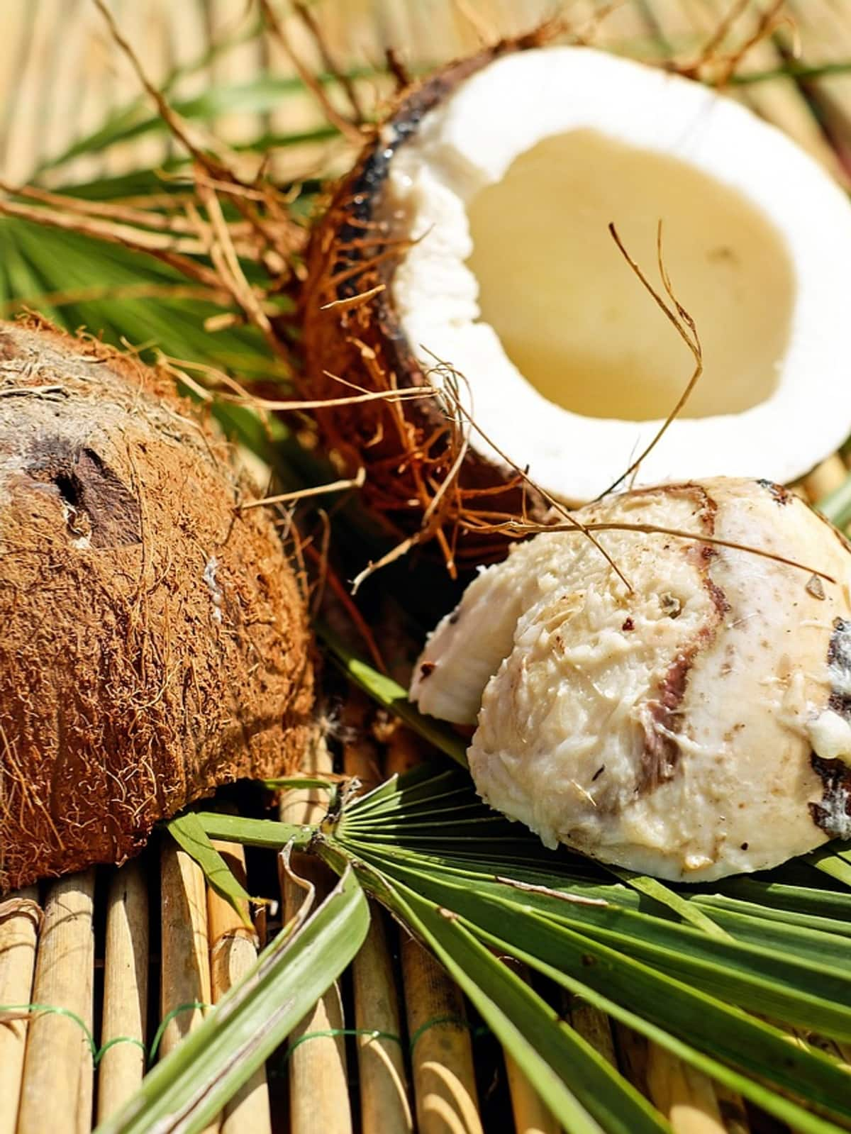 World Coconut Day: 7 surprising benefits of drinking coconut water iwh