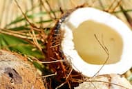 World Coconut Day: 7 surprising benefits of drinking coconut water iwh