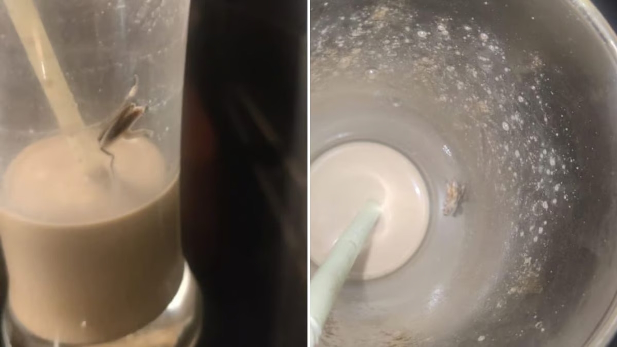 SHOCKING! Customer finds cockroach in cold coffee at Malad cafe in Mumbai; see viral photo shk