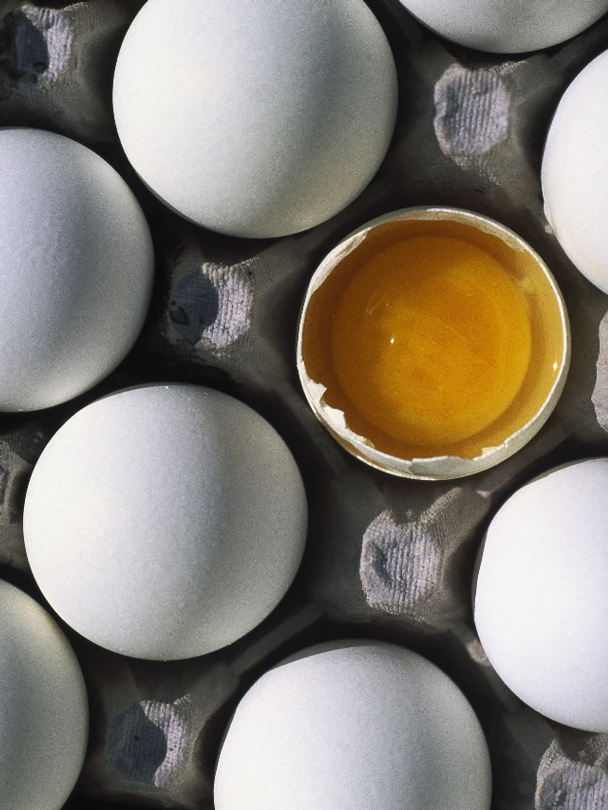 What happens when you eat Eggs daily? vkp