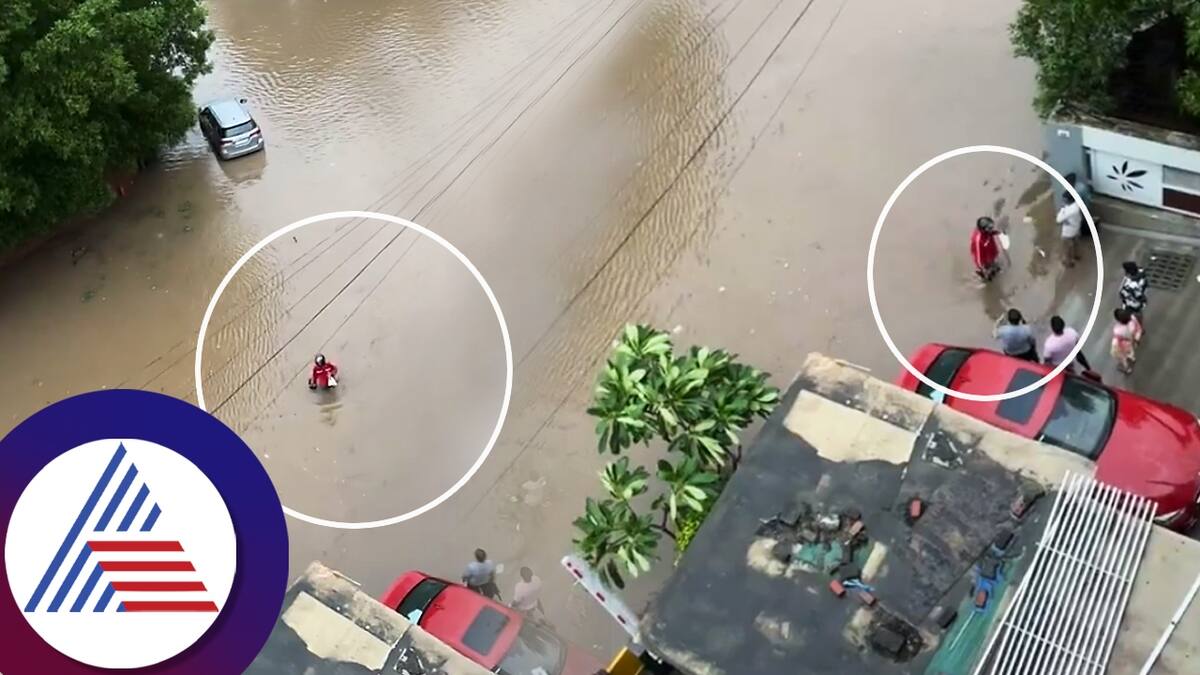 Delivery boy handover parcel in flooded Ahmedabad area superhero effort Zomato announces gift ckm