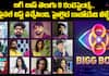 Bigg Boss Telugu 8 Contestants Revealed: Meet the Final List of Highlights