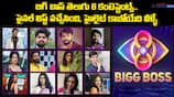 Bigg Boss Telugu 8 Contestants Revealed: Meet the Final List of Highlights