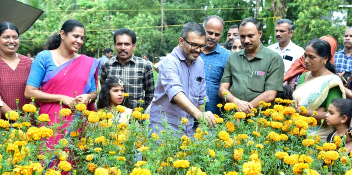 Onam  flowers have ripened and the harvest has started in Kannur 