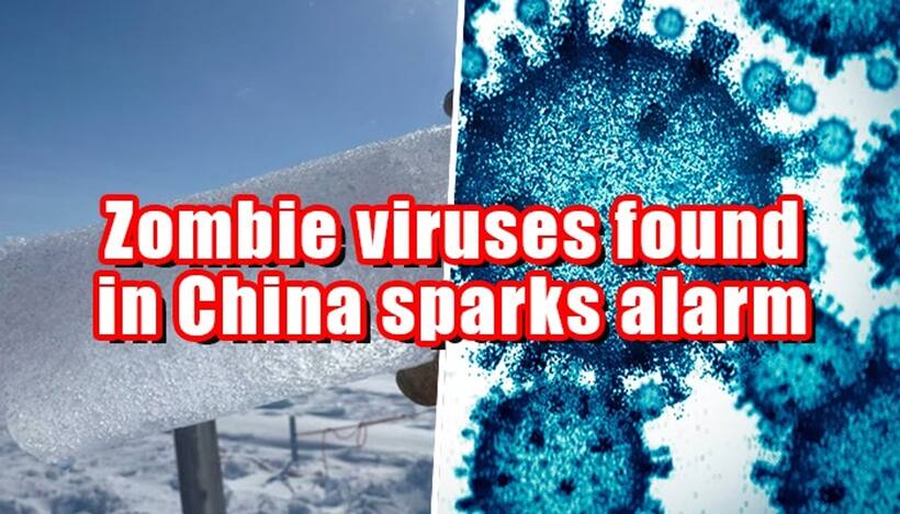 Over 1700 ancient zombie viruses, dating back 41,000 years, discovered in China; should humans be worried?