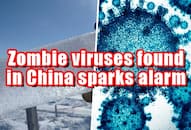 Over 1700 ancient zombie viruses, dating back 41,000 years, discovered in China; should humans be worried? snt