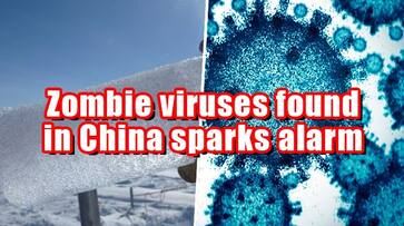 Over 1700 ancient zombie viruses, dating back 41,000 years, discovered in China; should humans be worried? snt