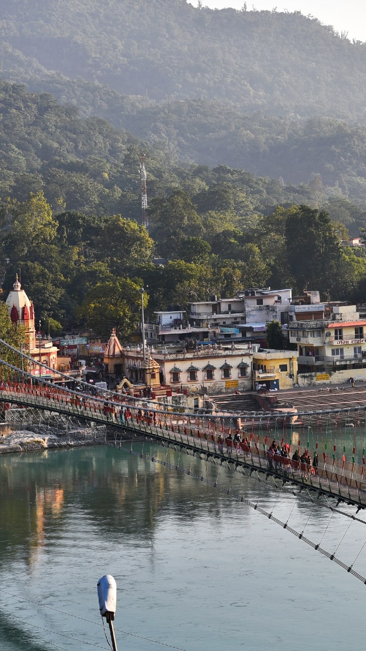 10 Meat-Free Cities in India: Exploring Vegetarianism and Sacred Sites anr