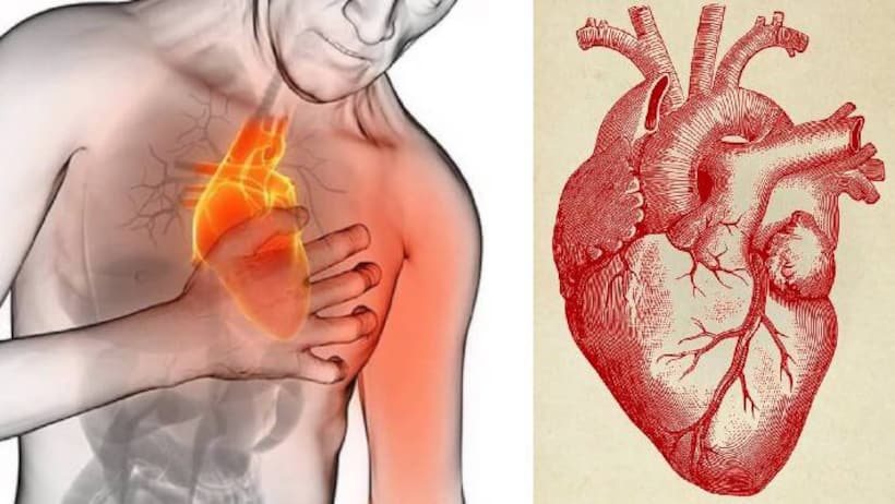  heart problem in dengue patients
