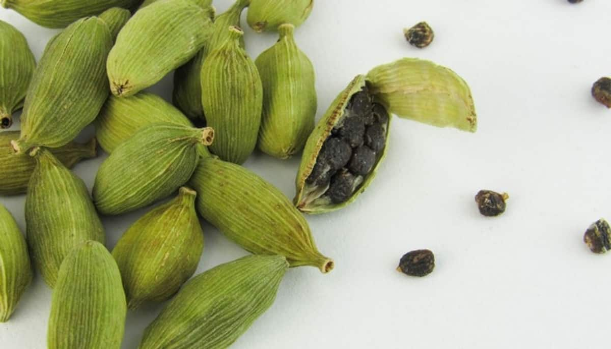 Unveiling the Secret Benefits of Cardamom  From Acne to Culinary Delights gow