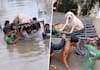 See how locals saved a dog from being washed away by floods in Vadodara