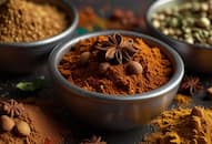 Homemade Garam Masala: Easy recipe to create a perfect blend of spices in minutes iwh