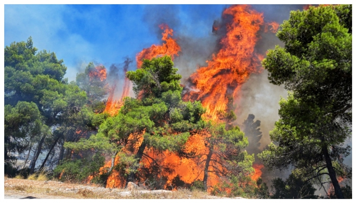 Woman arrested for setting up forest fire twice to flirt with firefighters