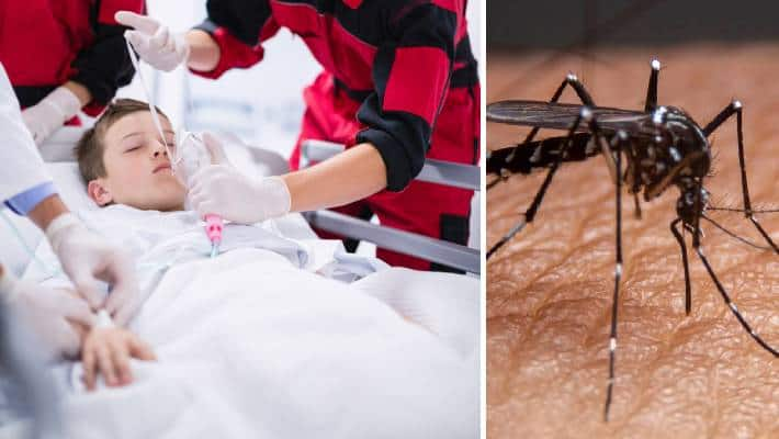 How to protect children from Dengue, Malaria? Tips for Parents Rya