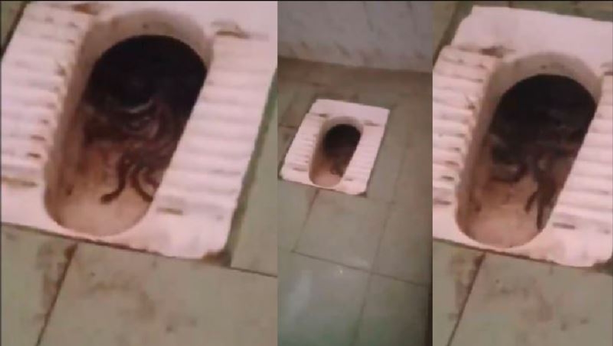 Tamil nadu More than six snakes slithered in ladies toilet commode of Govt college Horrifying video goes viral akb