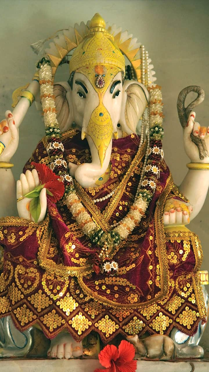 Ganesh Chaturthi 2024 6 things you should not offer Lord Ganesha gcw