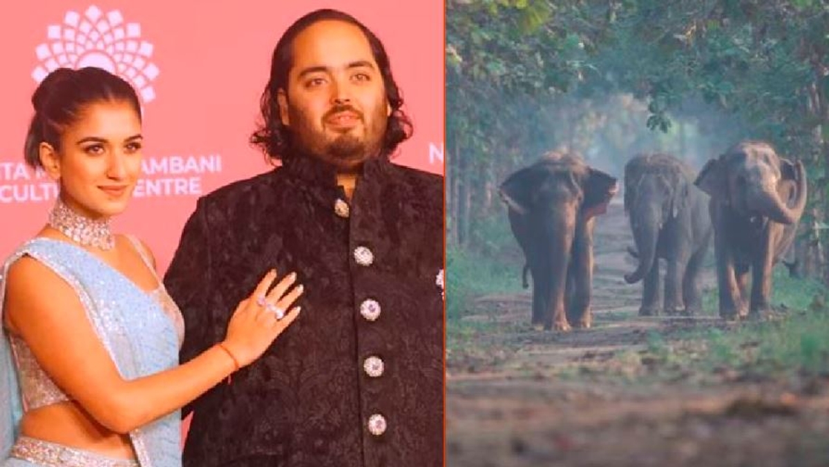 Anant Ambani's Vantara Foundation to save drought stricken Namibias elephants and other wild animals akb