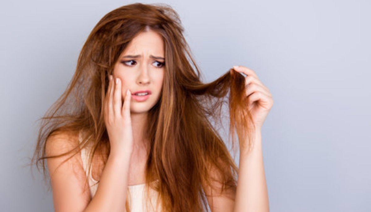 These Home Remedies can help reduce dryness in your Hair