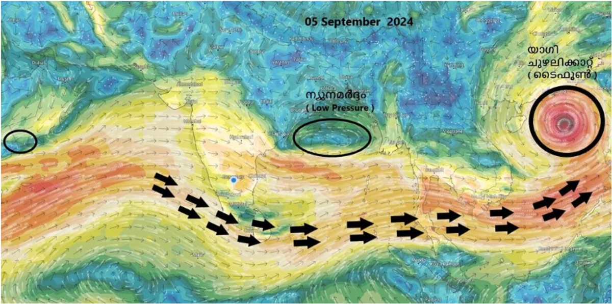 Weather alert: Low-pressure in Bay of Bengal area expected to bring rain to Kerala in next 7 days dmn