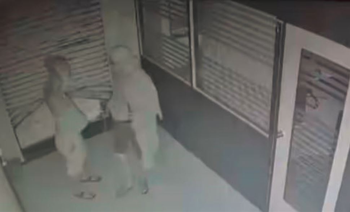 Chadi Banian gang reappears in Nashik CCTV footage shows thieves activities akb