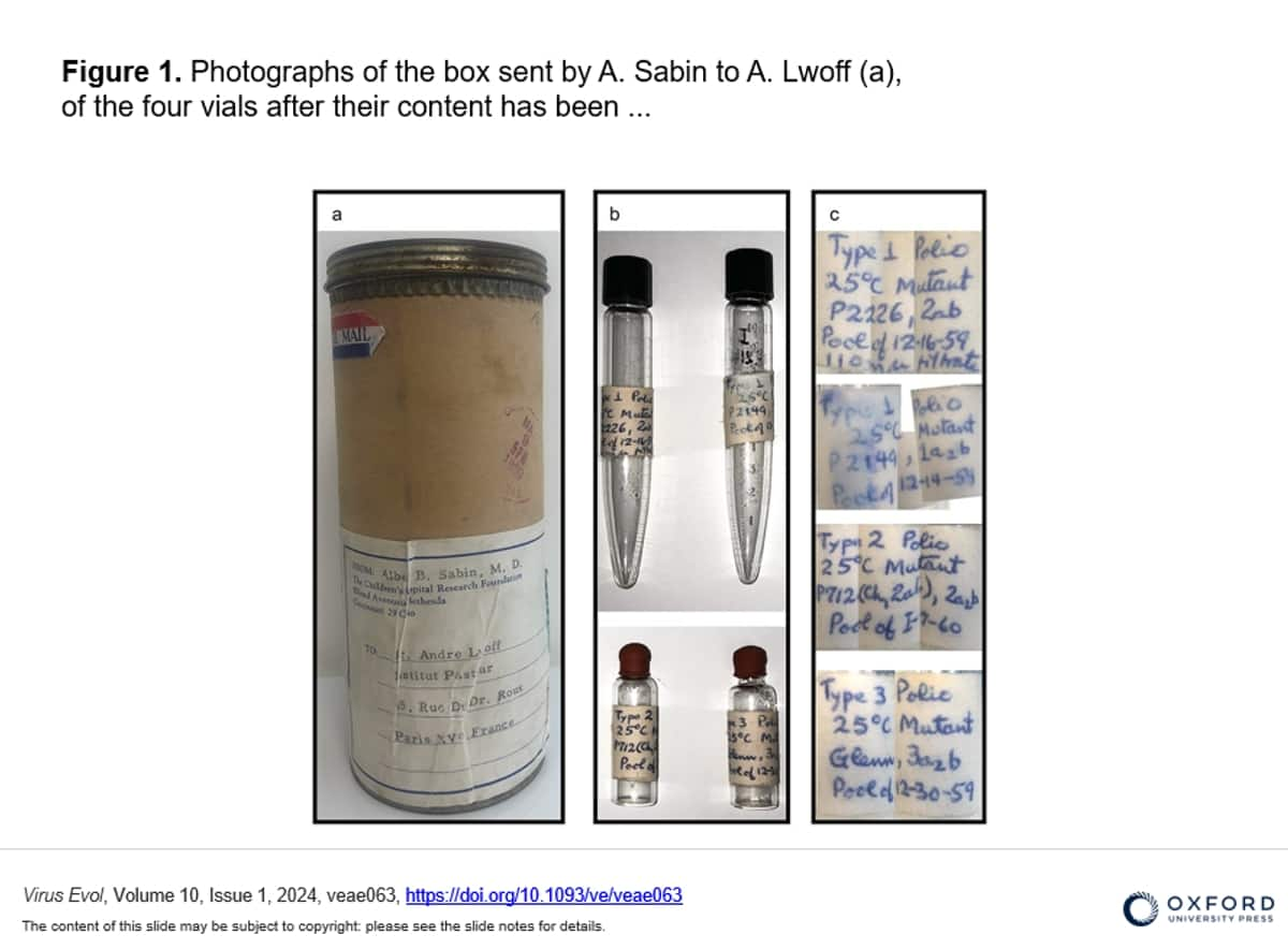 BOMBSHELL China's Wuhan lab linked to Covid leak may have released deadly 2014 polio virus, new study claims snt