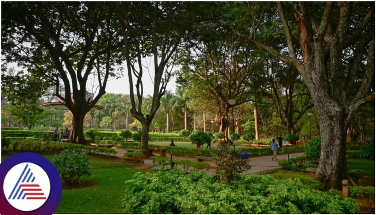 Bengaluru Fayaz Pasha showed private part to lone young woman in Cubbon Park sat