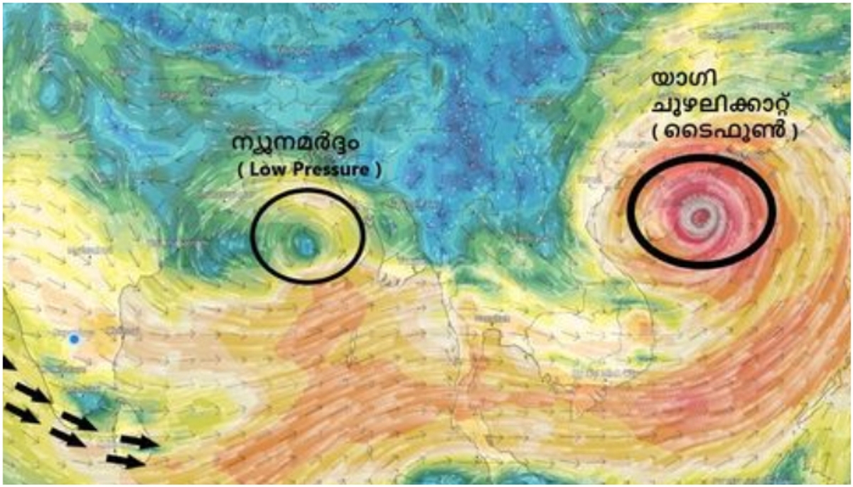 kerala rain alert 2 districts yellow alert and more 