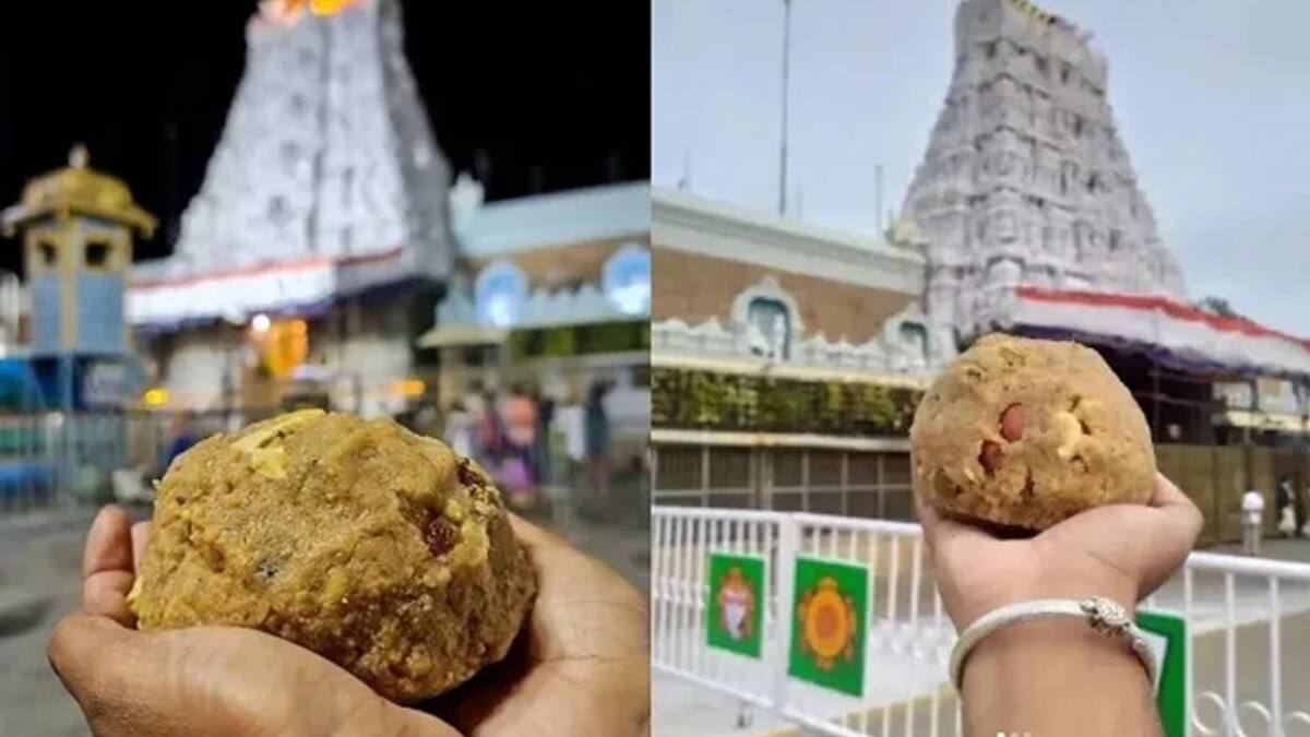 tirupati laddu