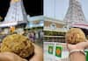 tirupatis sweet laddu prasadam which generated rs 500 cr annual revenue suh