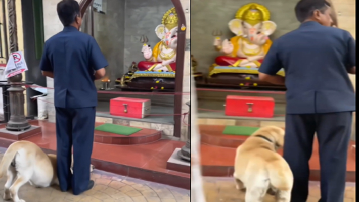 Ganesh Chaturthi Dog Worships Idol Heartwarming Video Goes Viral vel