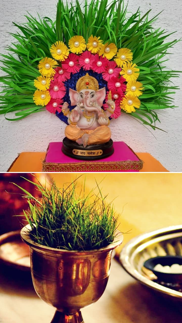 Durva Grass vs Kusha Grass: 7 Key Differences and Religious Significance