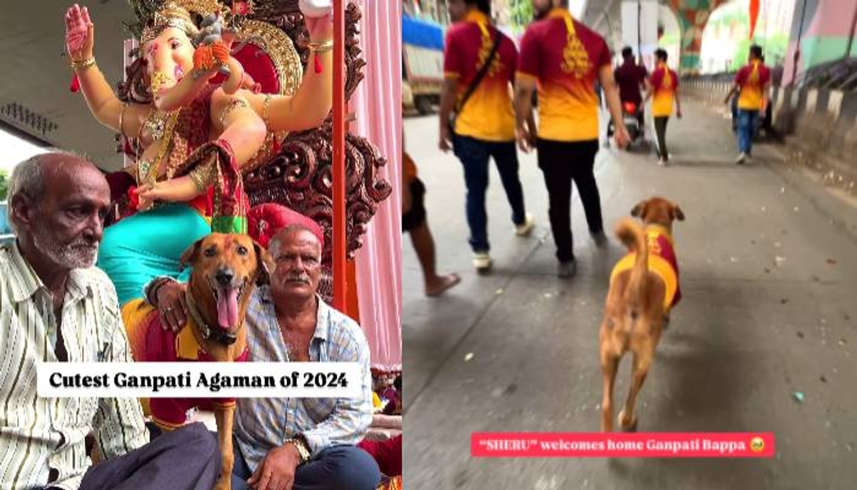 dog participating in Ganesh Chaturthi celebrations