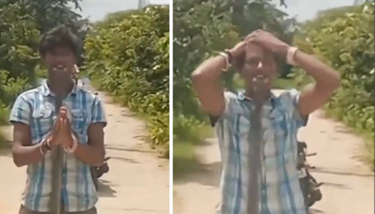 Telangana man dies from cobra bite while filming video for social media vel