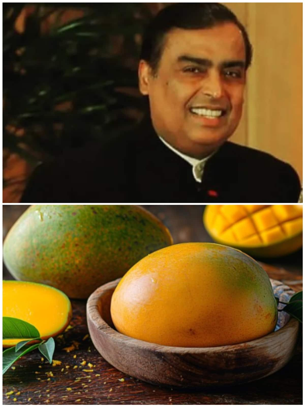 World's largest mango exporter? It's Mukesh Ambani NTI