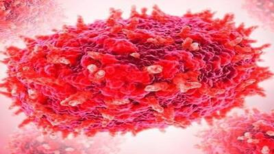 भारत में Mpox? सामने आया पहला संदिग्ध केस, क्या कहता है हेल्थ मिनिस्ट्री का बयान? जाने अन्य डिटेल
