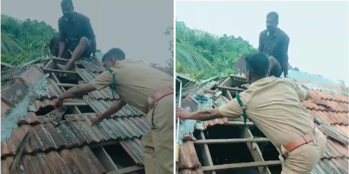 Noise from the roof party found in the search and finally chased and caught baby python