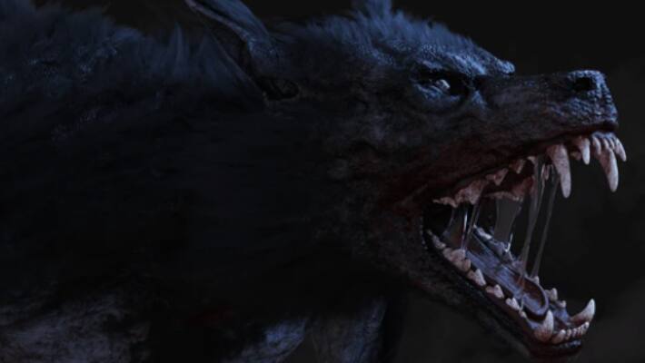 wolves attacks