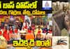 Bigg Boss Telugu 8 Wild Animals Enter the House