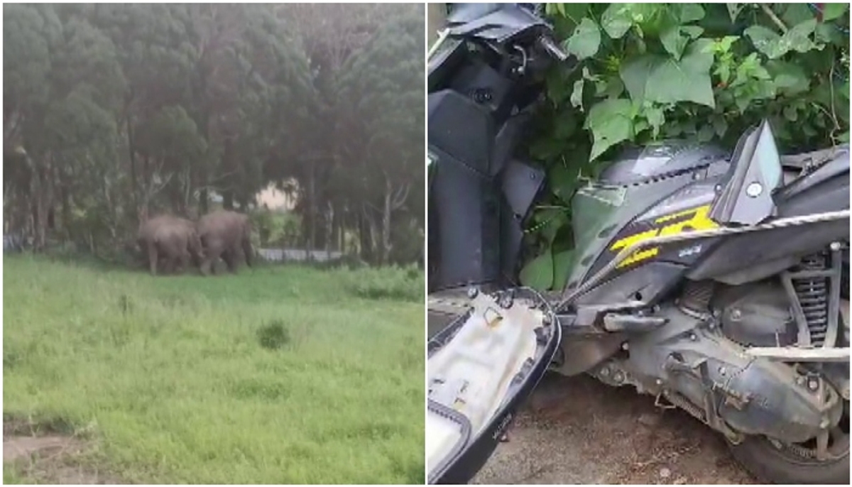 Elephant attack in Idukki Kanthalloor