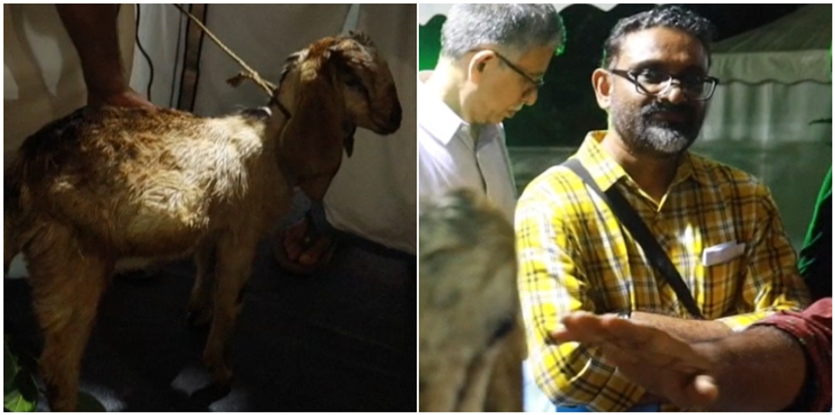 auction for goat including benyamin got Rs 13,800